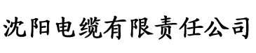 香蕉91污电缆厂logo